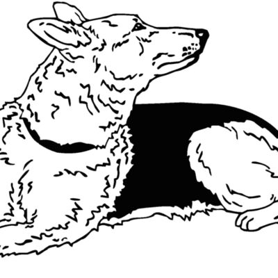 german shepherd Thumbnail