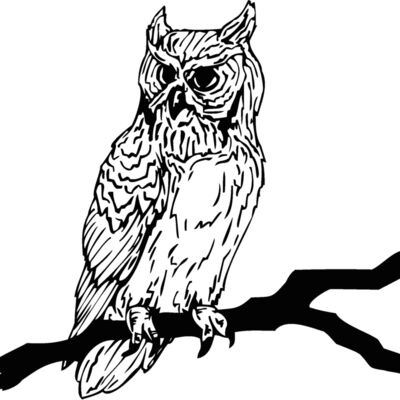 owl2 Thumbnail