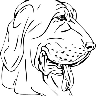 bloodhound Thumbnail