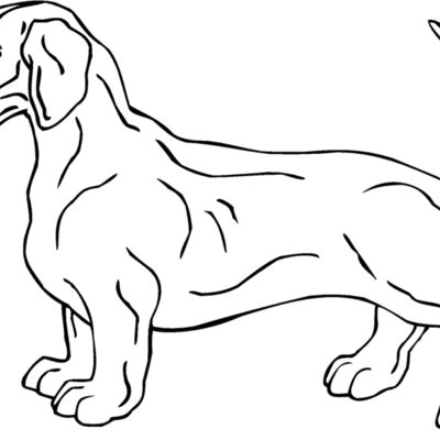 dashchund1 Thumbnail