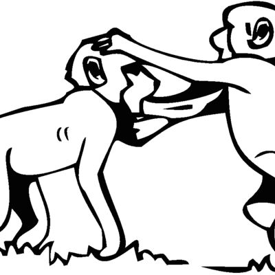 babybaboons Thumbnail