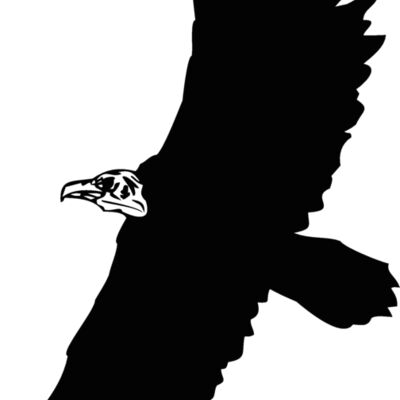 vulture Thumbnail