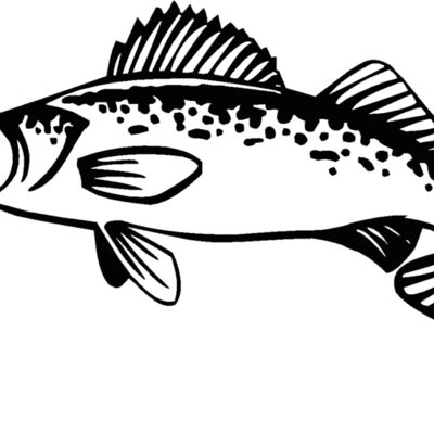 walleye Thumbnail