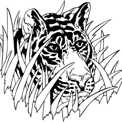 tigerhead02 Thumbnail