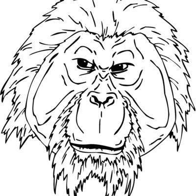 orangutan3 Thumbnail