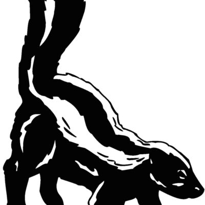skunk Thumbnail