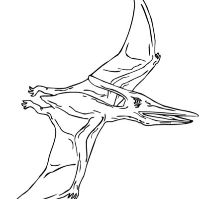 pteranod Thumbnail