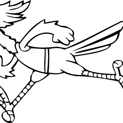 roadrunner1 Thumbnail