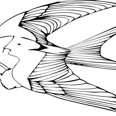 birdeatingworm Thumbnail