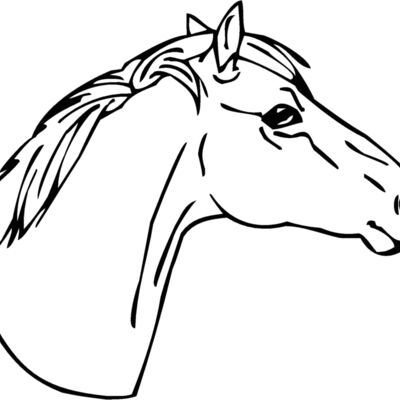 horsehead05 Thumbnail