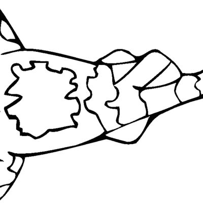wobbegon Thumbnail