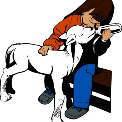 kidandlamb1 Thumbnail