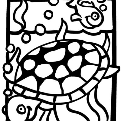 seaturtlescene Thumbnail