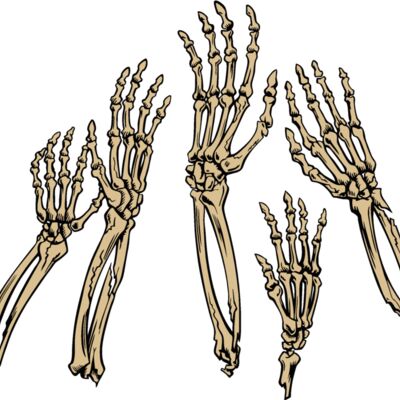bone hands Thumbnail