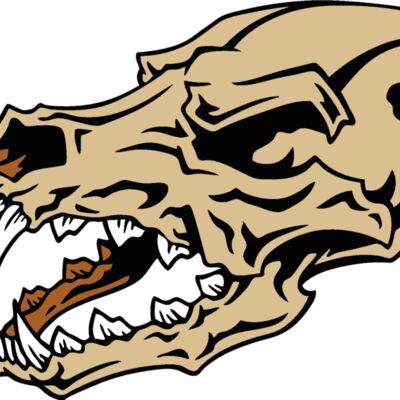 es2skull019clr Thumbnail