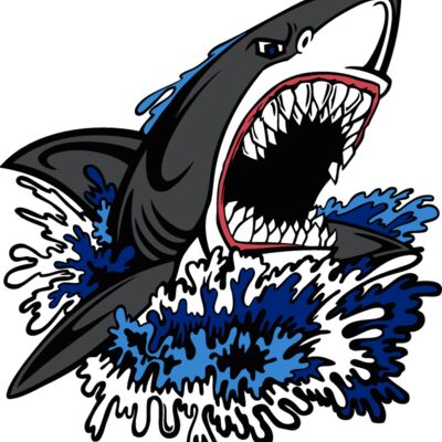 shark06v4clr Thumbnail