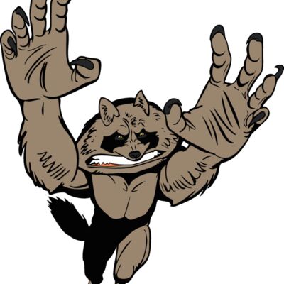 racoonmsct01 Thumbnail