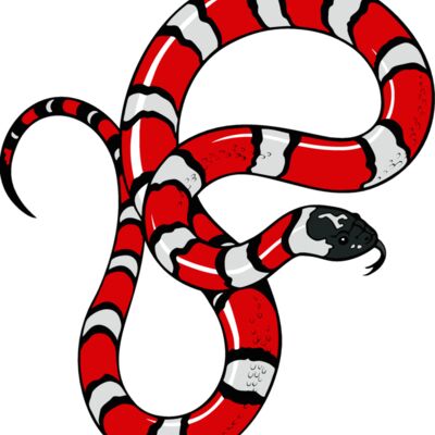 snake12v4clr Thumbnail