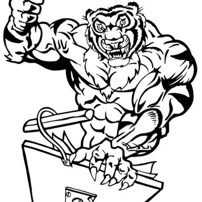 tigermusic Thumbnail