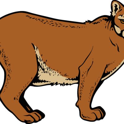 cougar13v4clr  2  Thumbnail