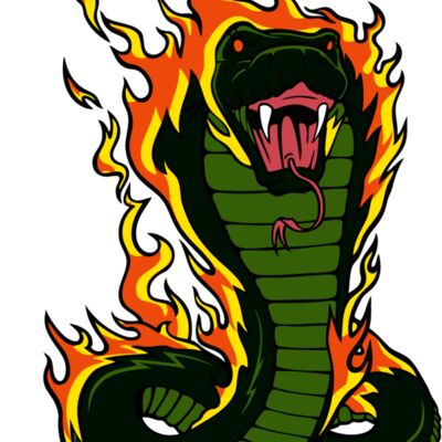 flamingcobra Thumbnail