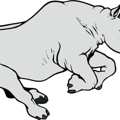 rhino05v4clr Thumbnail