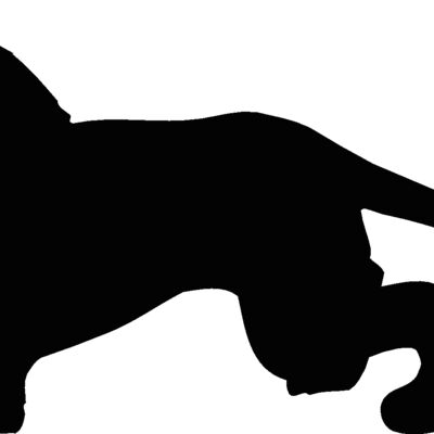 lionsilhouette Thumbnail