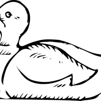 duck1 Thumbnail
