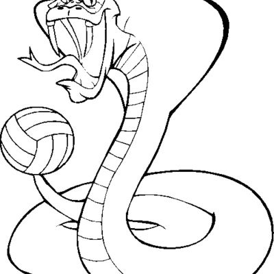 cobravlybns Thumbnail