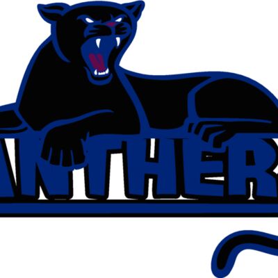 panther02v4clr Thumbnail