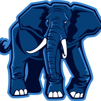 elephantjk6 Thumbnail