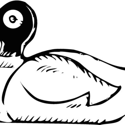 duck2 Thumbnail