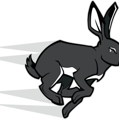 rabbit04v4clr  2  Thumbnail