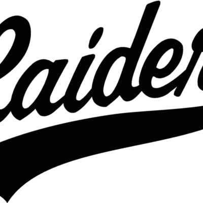 raidrlogo3 Thumbnail