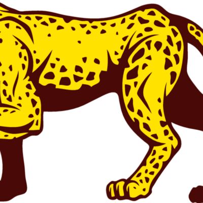 leopardc01 Thumbnail