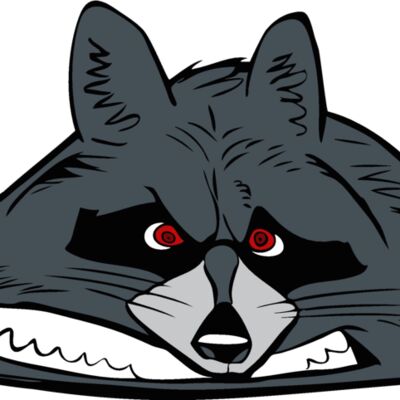 raccoonhd03 Thumbnail