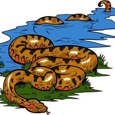 snake13v4clr Thumbnail