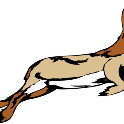 rabbit05v4clr  2  Thumbnail