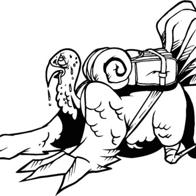 tiredturkey Thumbnail