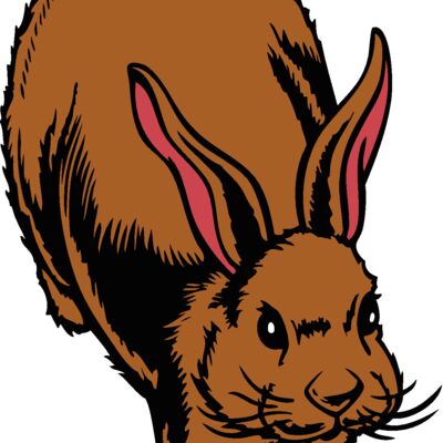 rabbit03v4clr Thumbnail