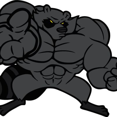raccoonm2 Thumbnail