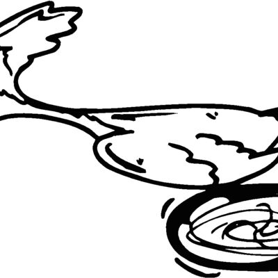 roadrunner3 Thumbnail