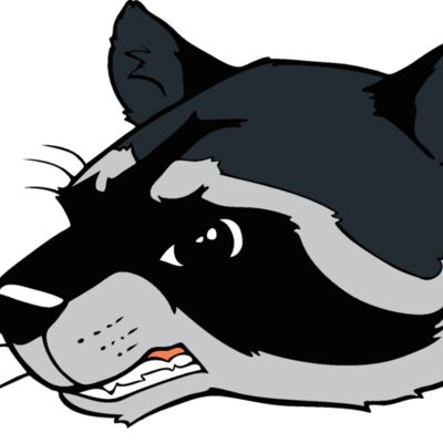 racoonhd04 Thumbnail