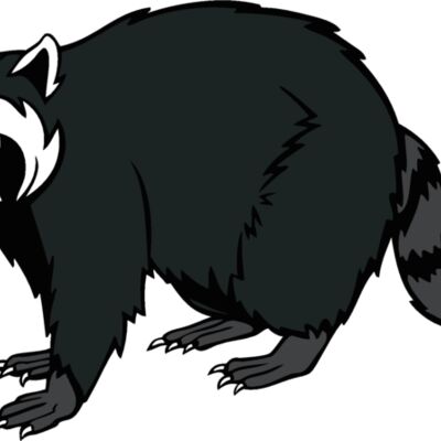 raccoonm08 Thumbnail