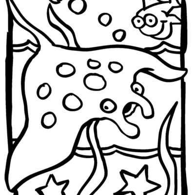 mantaray04 Thumbnail