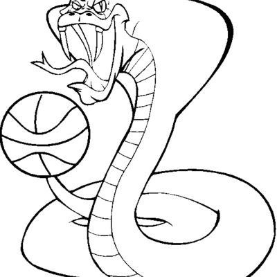 cobrabskblbns Thumbnail