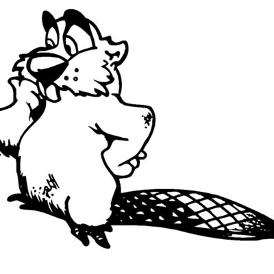beaver4 Thumbnail