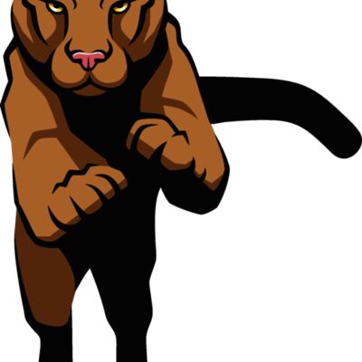 cougarc001 Thumbnail