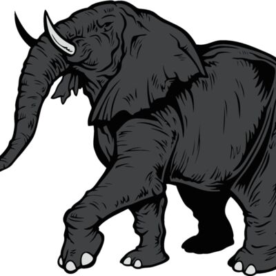 elephantj021 Thumbnail