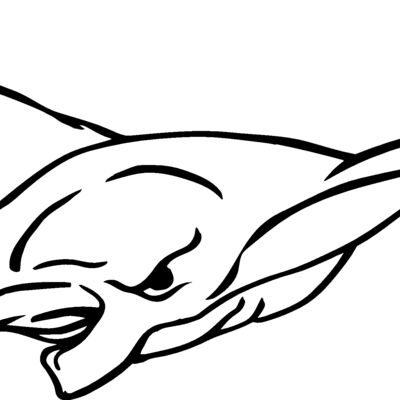 mantaray05 Thumbnail